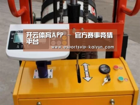 开云体育案例展示三