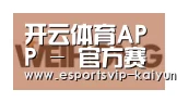 开云体育合作伙伴三