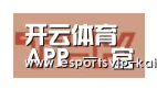 开云体育合作伙伴二