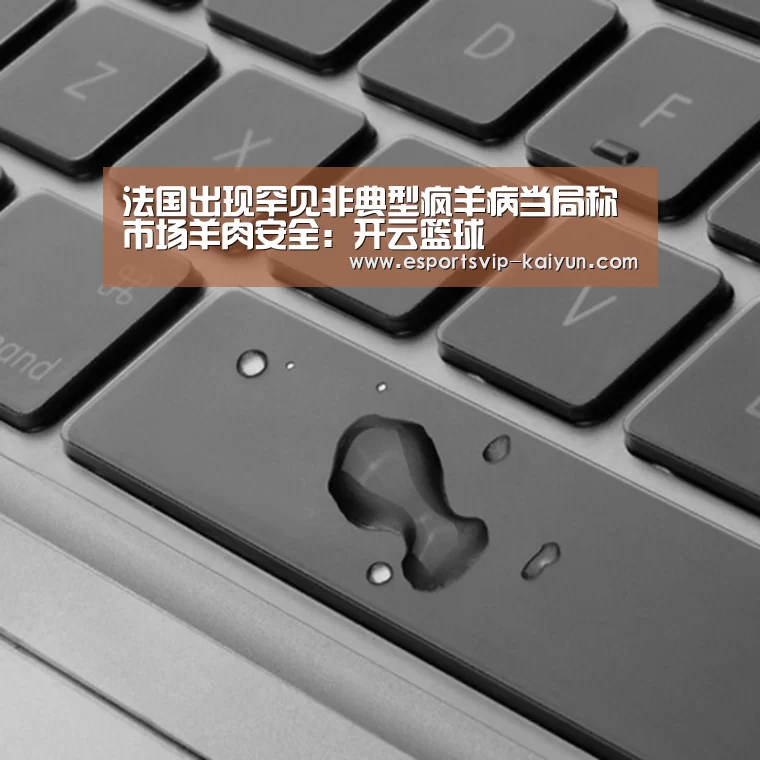 开云赛事