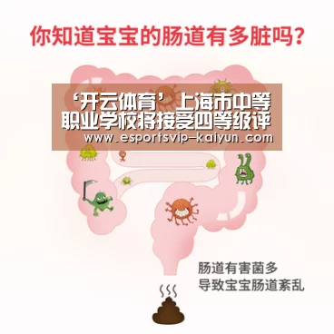 ‘开云体育’上海市中等职业学校将接受四等级评估(图1) 开云赛事